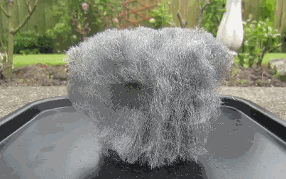 Burning steel wool with a battery