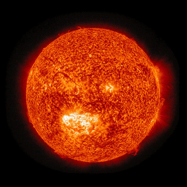 Our Sun, seen at different wavelengths