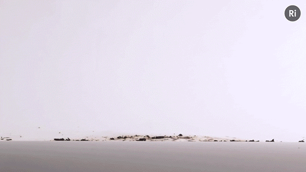 Detonating a contact explosive