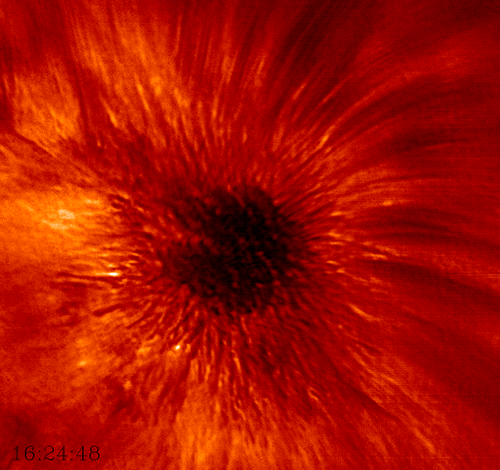 Closeup of a Sunspot