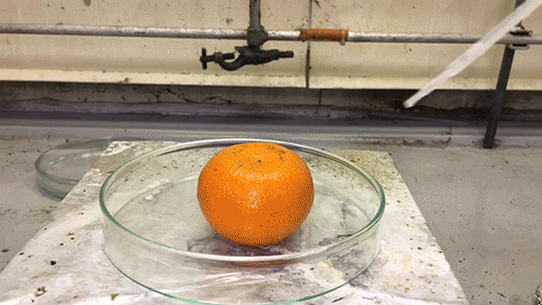 Superacid vs. Tangerine